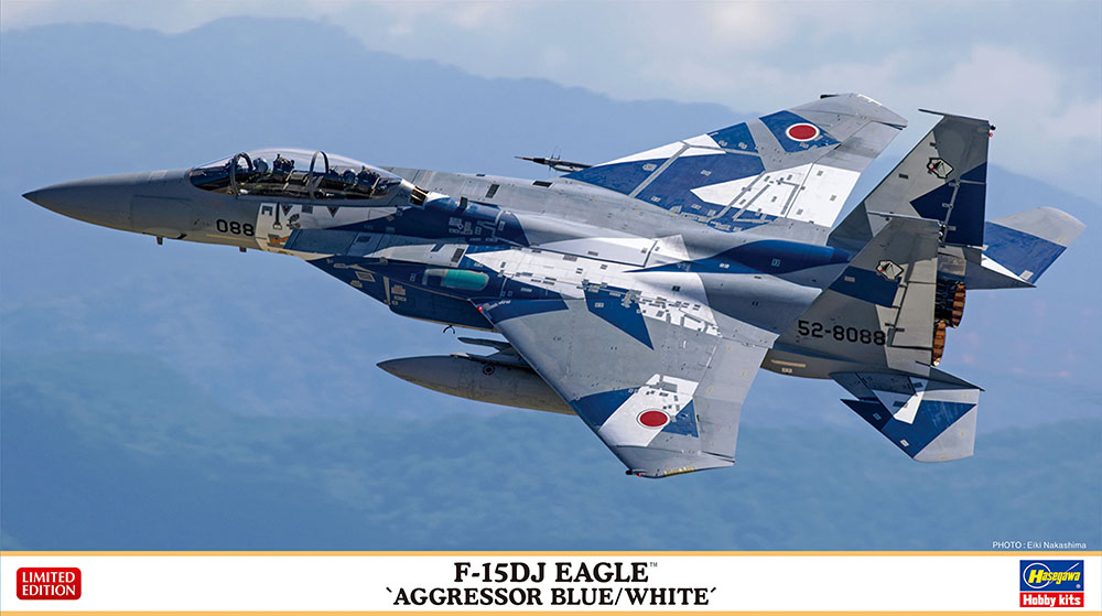 F-15DJ Eagle Aggressor blue & white